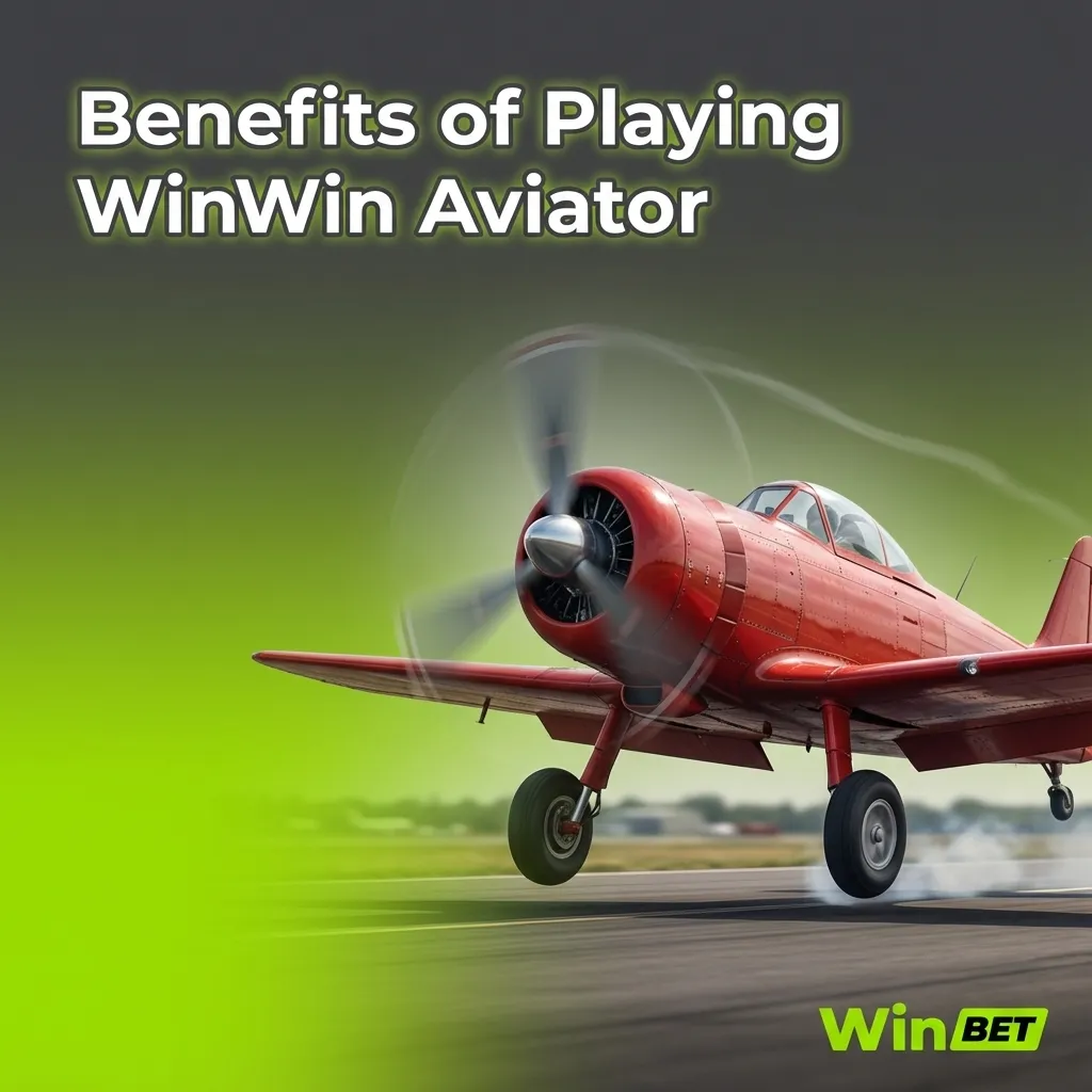 Infographic titled “Benefits of Playing WinWin Aviator” listing fast rounds, BDT payments, mobile play, stats, demo, and auto tools