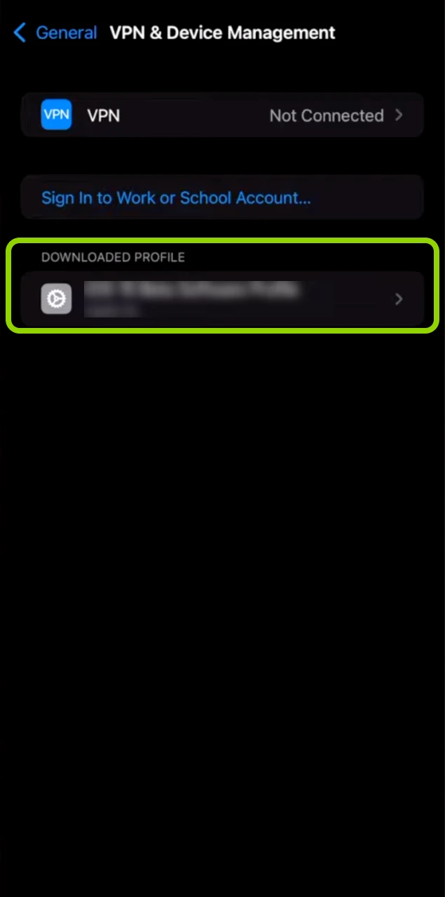 The VPN & Device Management section in iOS Settings showing the developer profile.